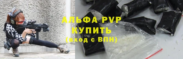 jwh Ельня