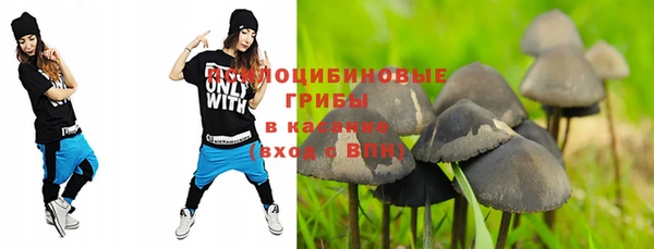 MESCALINE Елизово