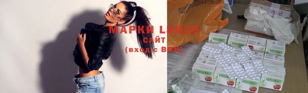 MESCALINE Елизово