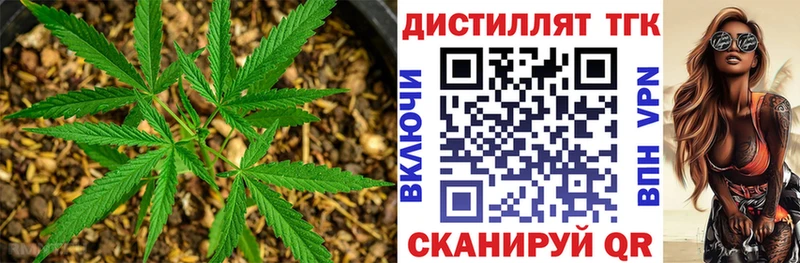 ТГК Wax  Купить  Котельники 