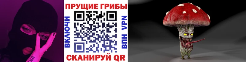 Купить где  Котельники  Псилоцибиновые грибы ЛСД 